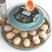 Replacement egg turner for Incubator Insert Only.